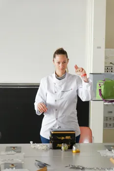 Copyright : Vincent Folliard